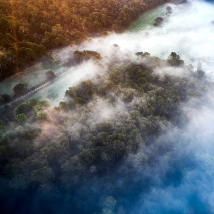 Drone pictures of a Foggy morning around the Fluvià river,  Empordà, Catalonia.