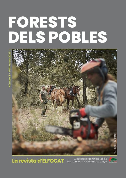 REVISTA-8