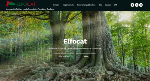 actualitzacio web